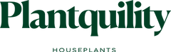 Plantquility Houseplants