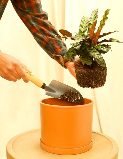Garden Shovel - Plantquility Houseplants 
