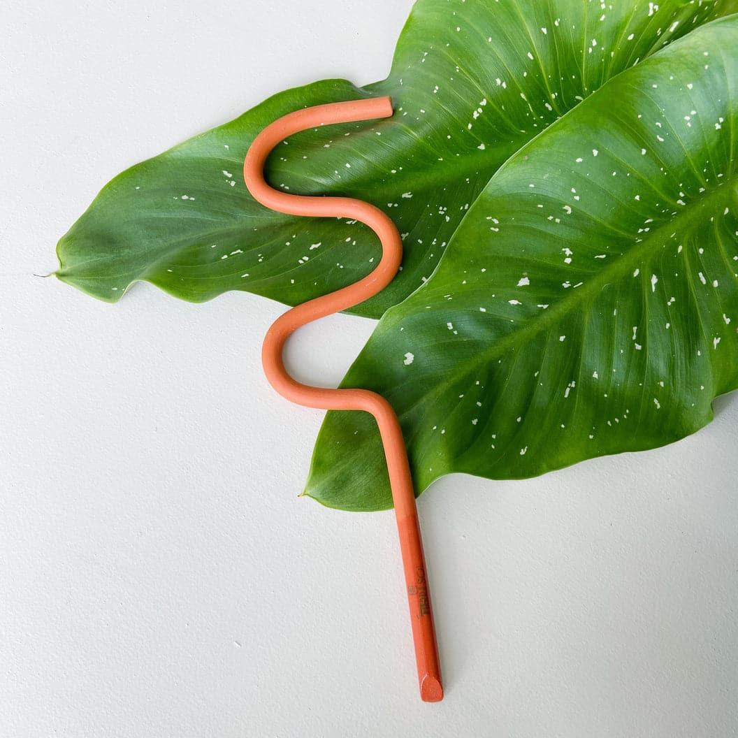 Houseplant Support Stake - The Wave - Plantquility Houseplants 
