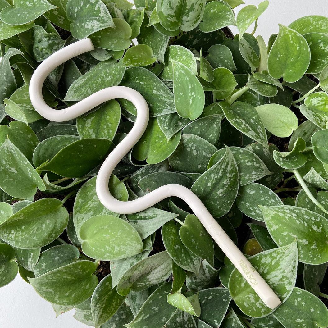 Houseplant Support Stake