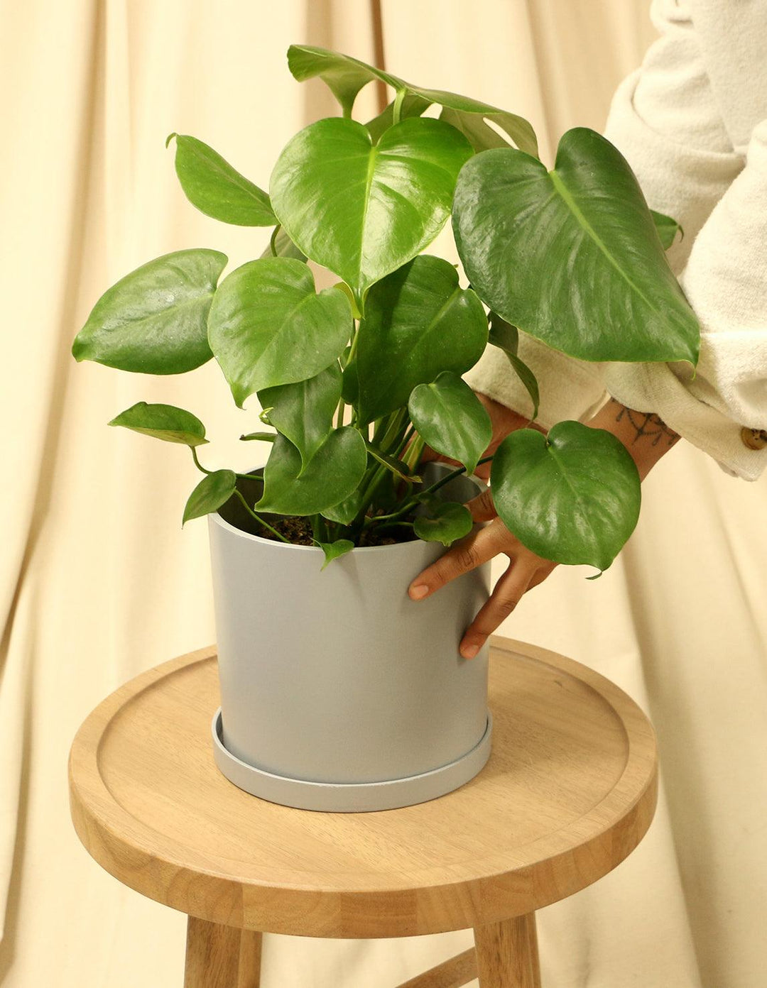 hanging planter with drainage Hanging Planter main image 1